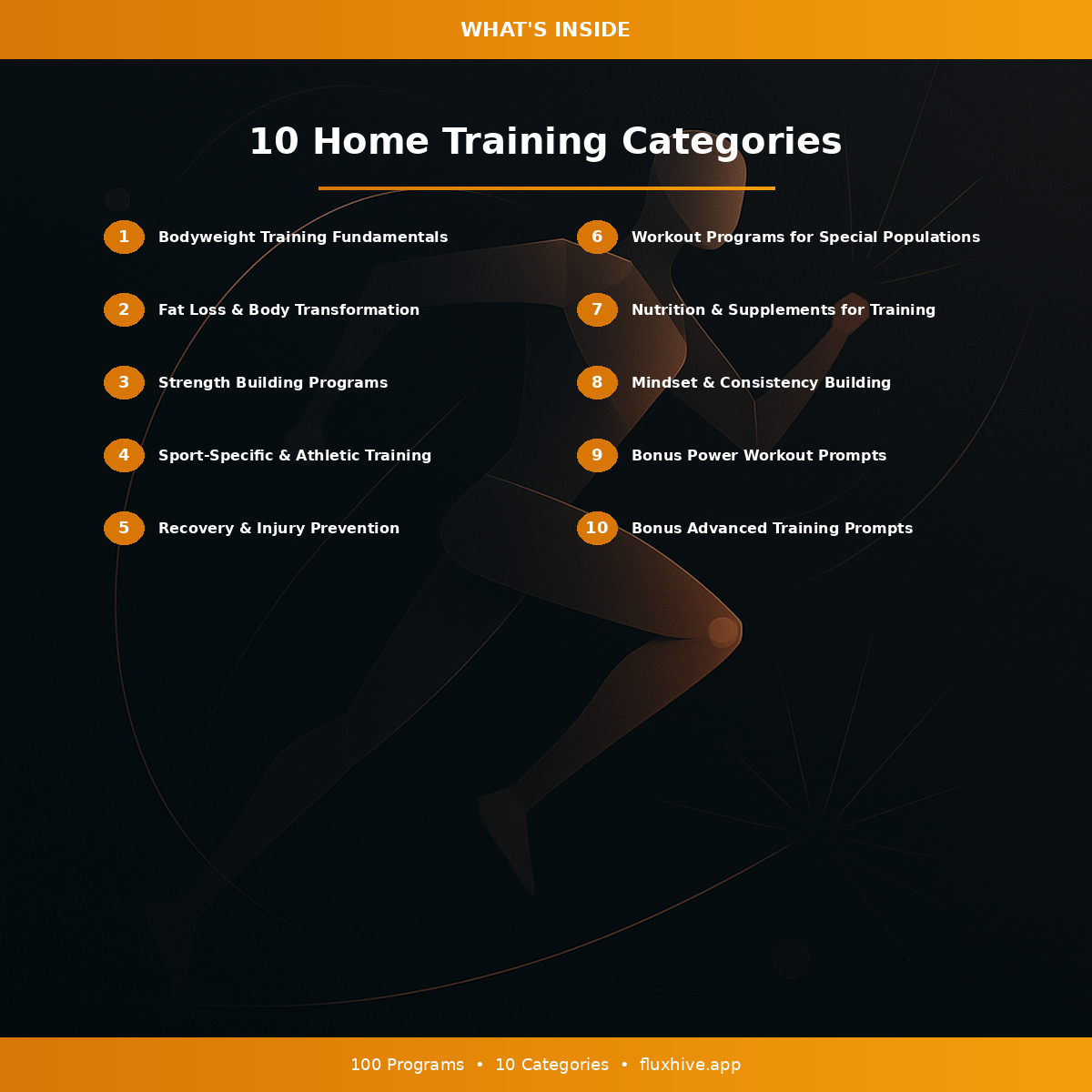 Home Workout Programs